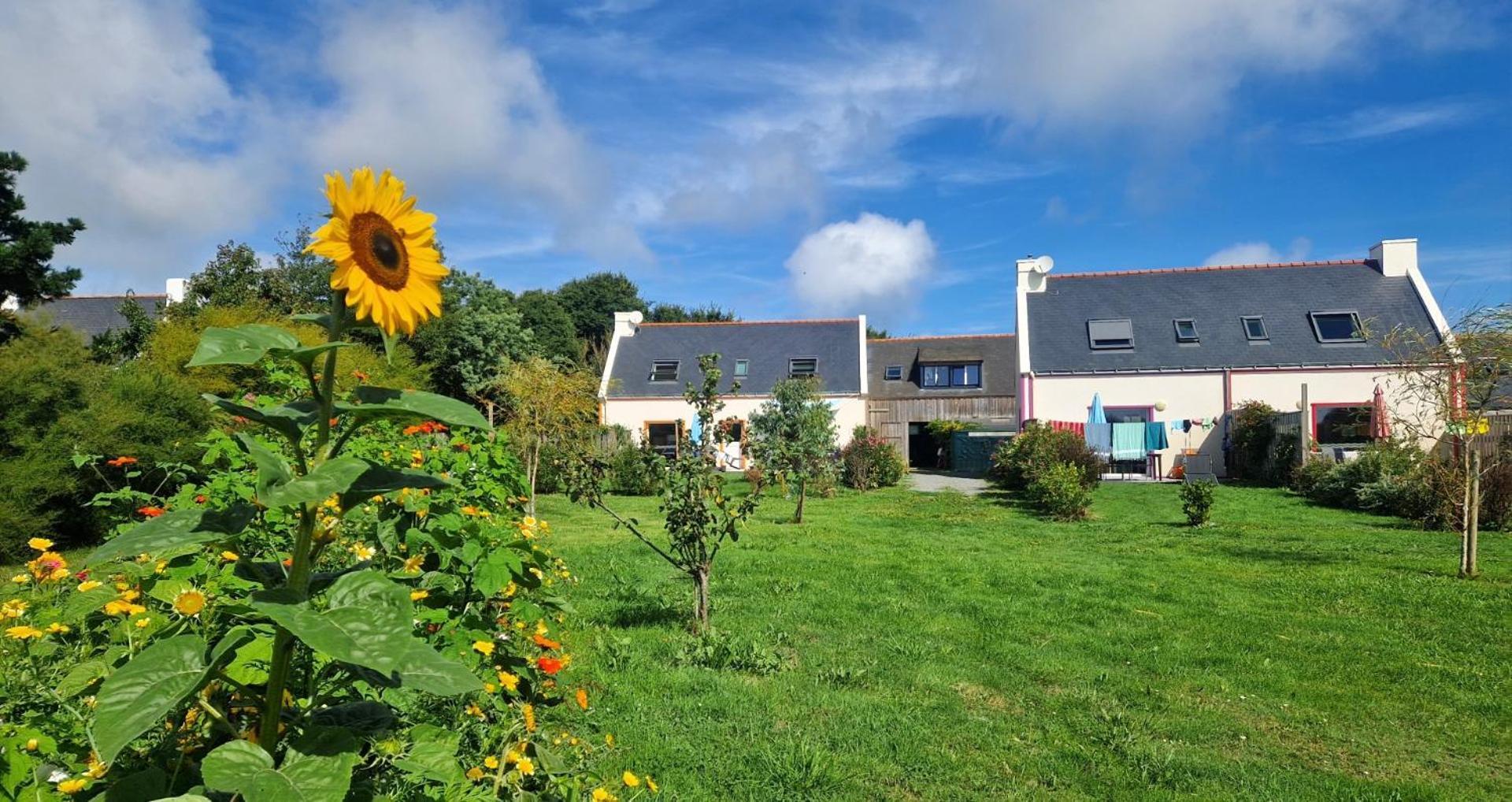 Les Maisons De Kerdavid'Ile - Votre Residence De Vacances A Belle Ile En Mer Locmaria Exterior photo